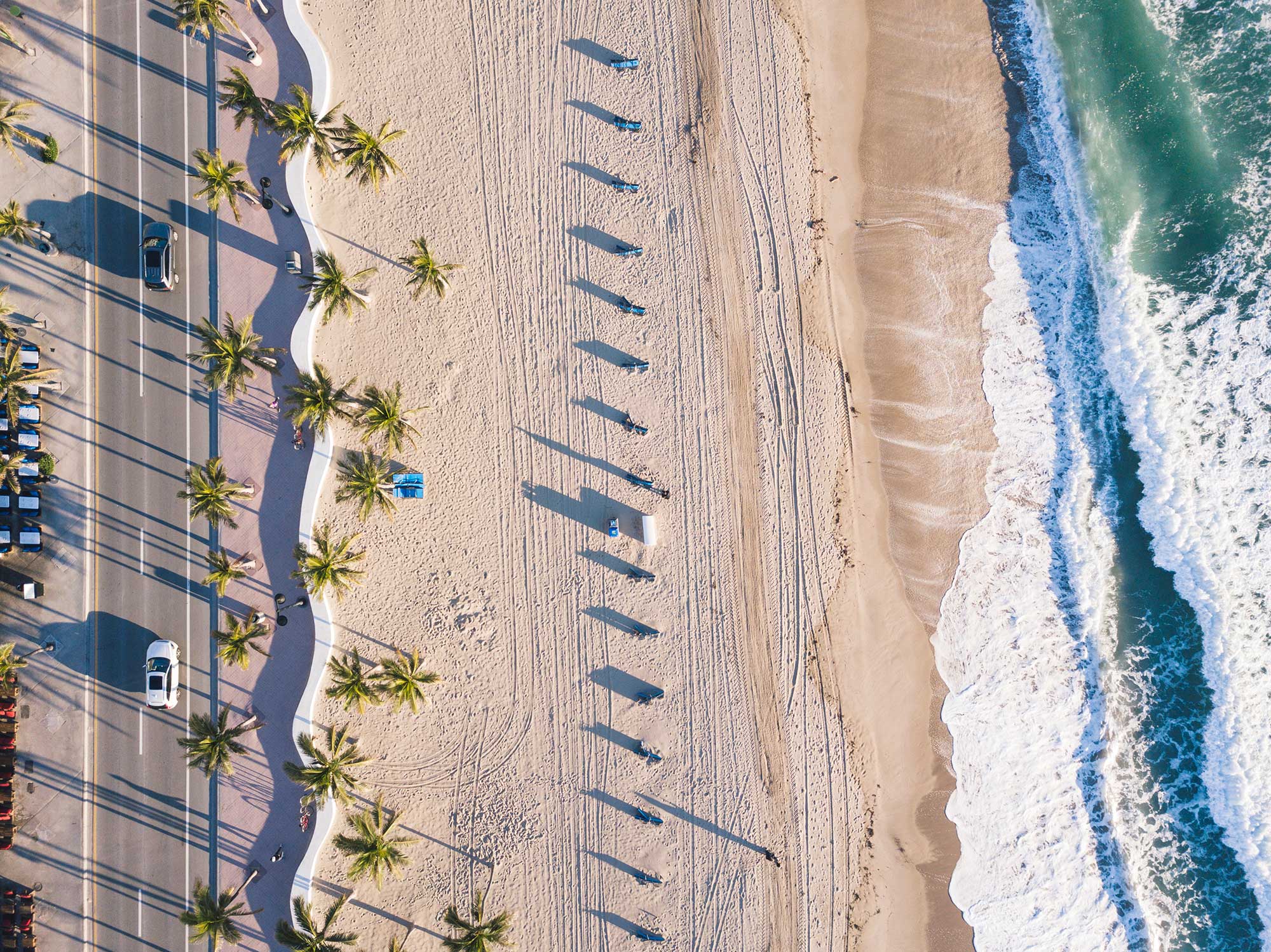 Apicoectomy North Palm Beach and Vero Beach